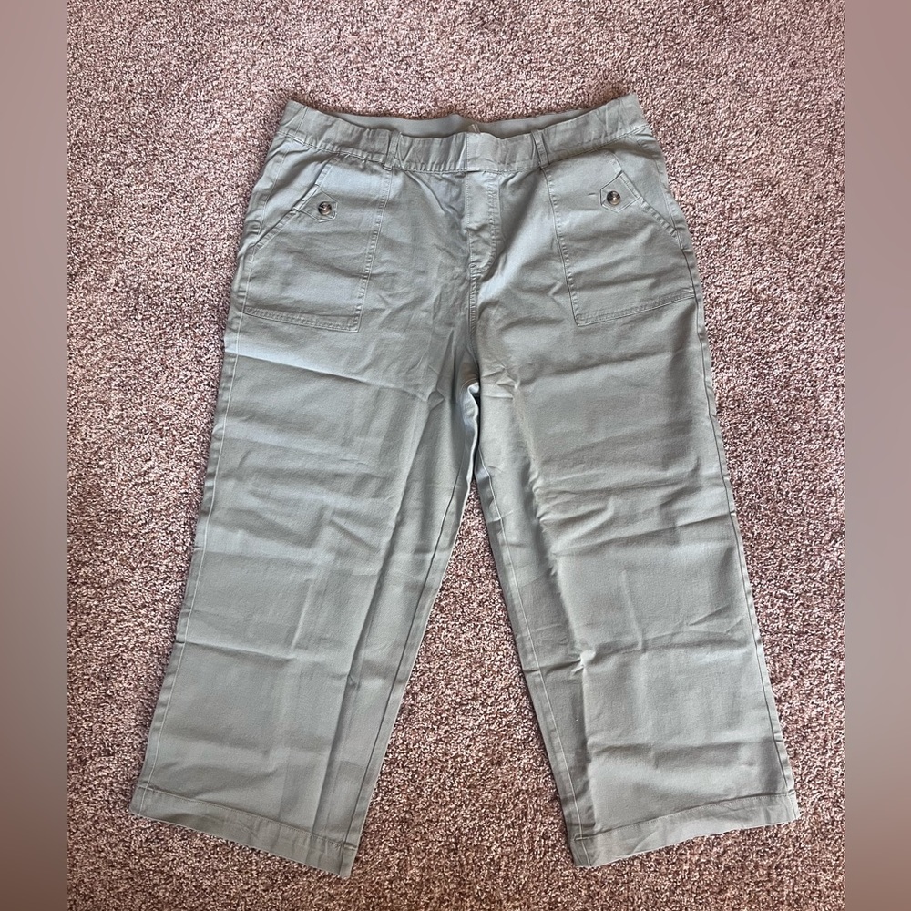 NWT Anybody Sage Green All Stretch Twill‎ Cropped Wide Leg Utility Pants